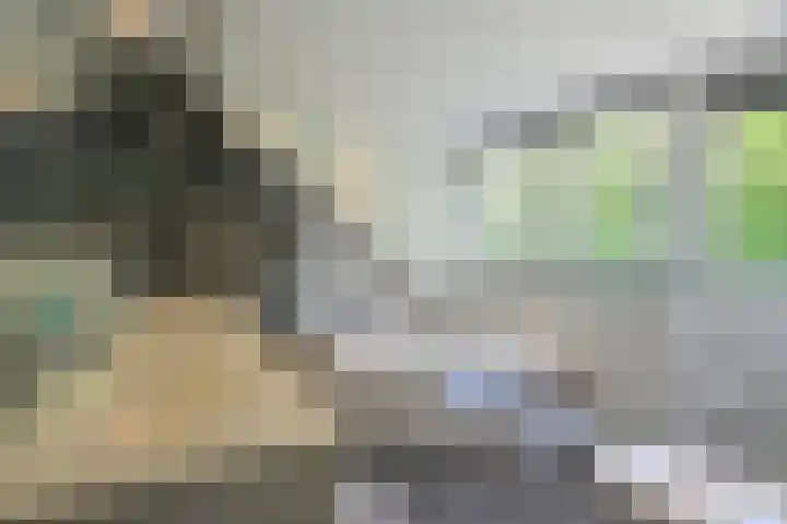 Bolwerk 7 Naarden thumbnail 17