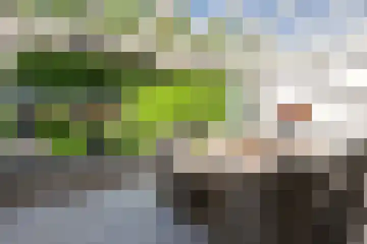 Bolwerk 7 Naarden thumbnail 22