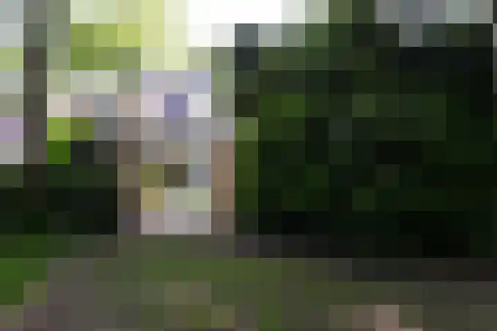 Bolwerk 7 Naarden thumbnail 25
