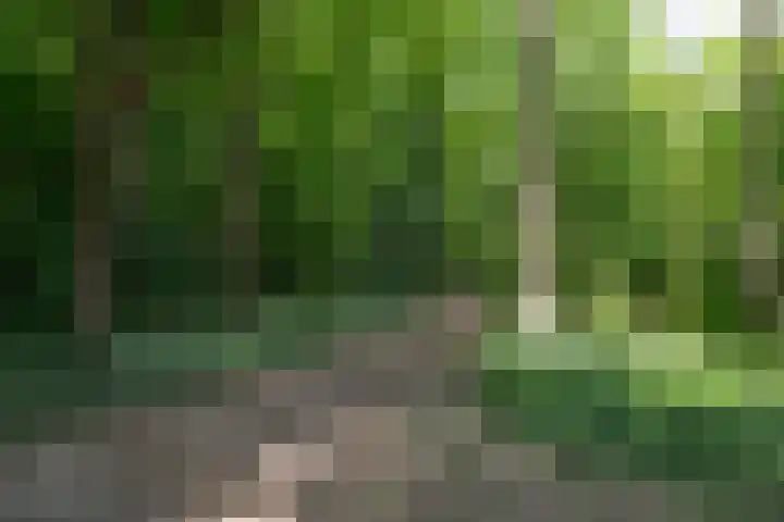 Bolwerk 7 Naarden thumbnail 26