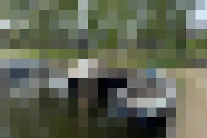Bolwerk 7 Naarden thumbnail 28