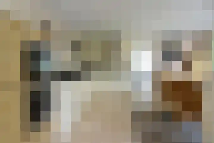 Bolwerk 7 Naarden thumbnail 7
