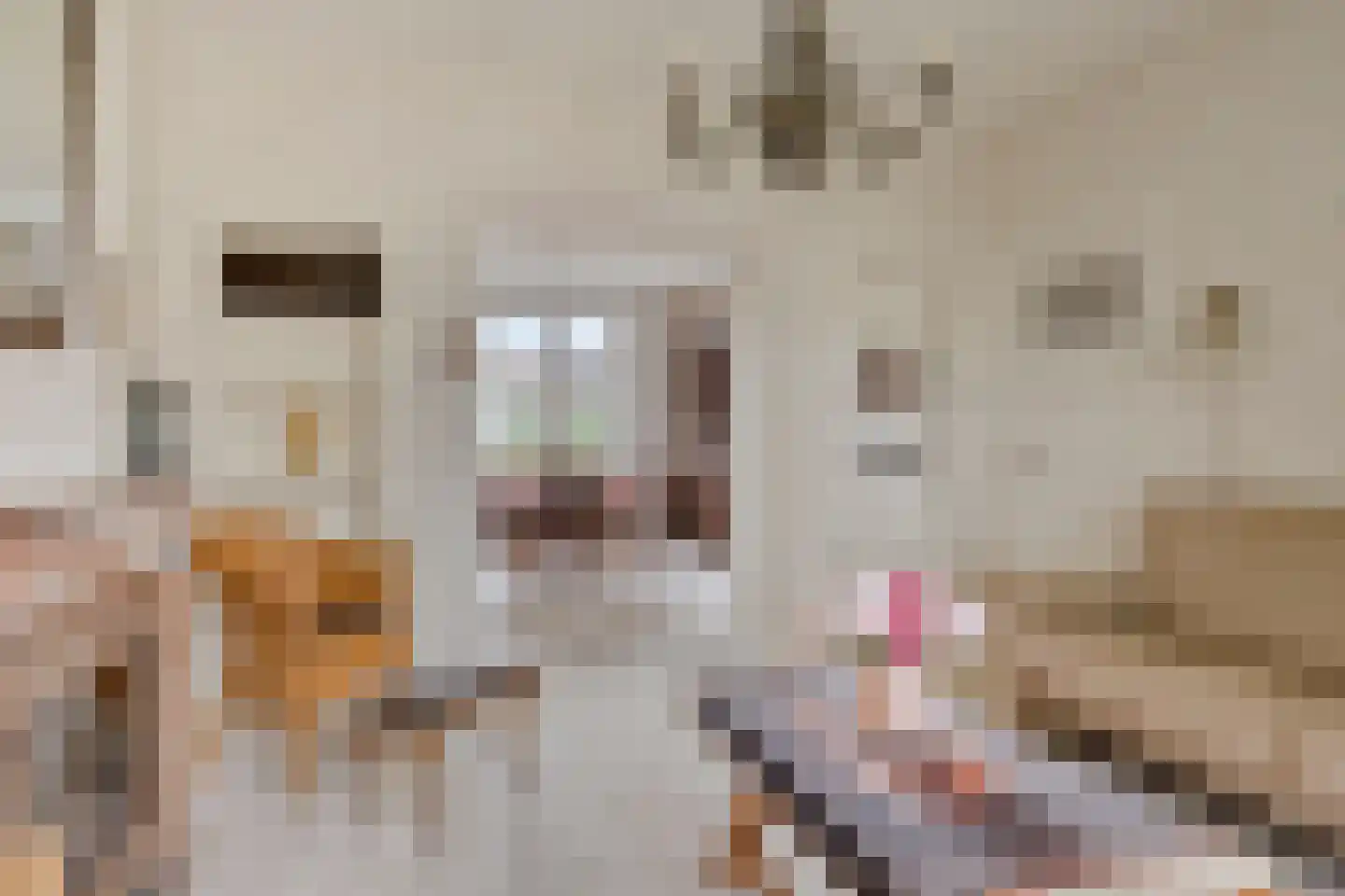 Bolwerk 9 Tholen thumbnail 17