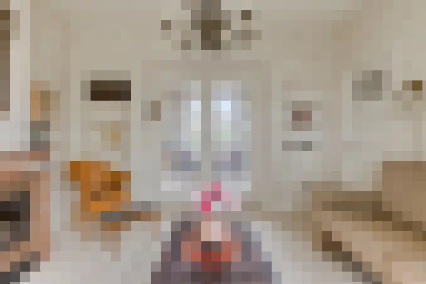 Bolwerk 9 Tholen thumbnail 18