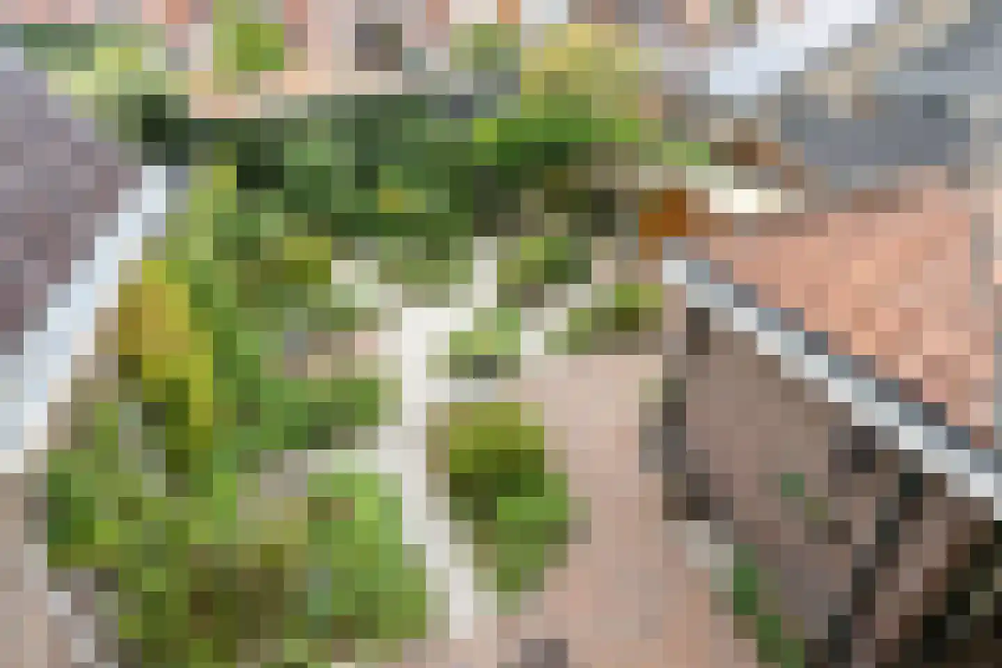 Bolwerk 9 Tholen thumbnail 48