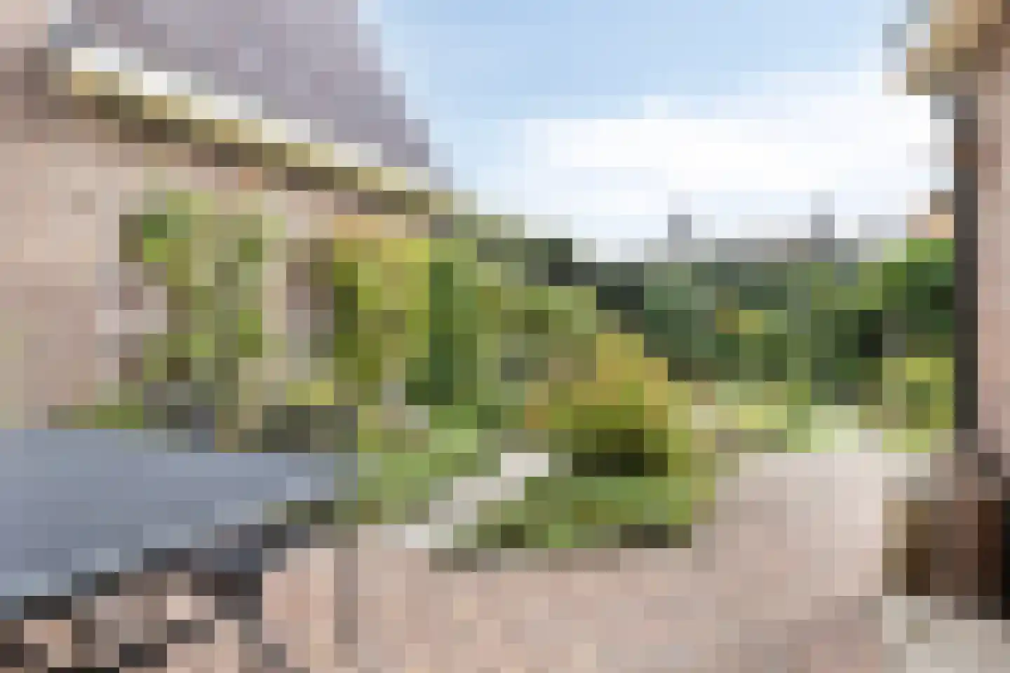 Bolwerk 9 Tholen thumbnail 49
