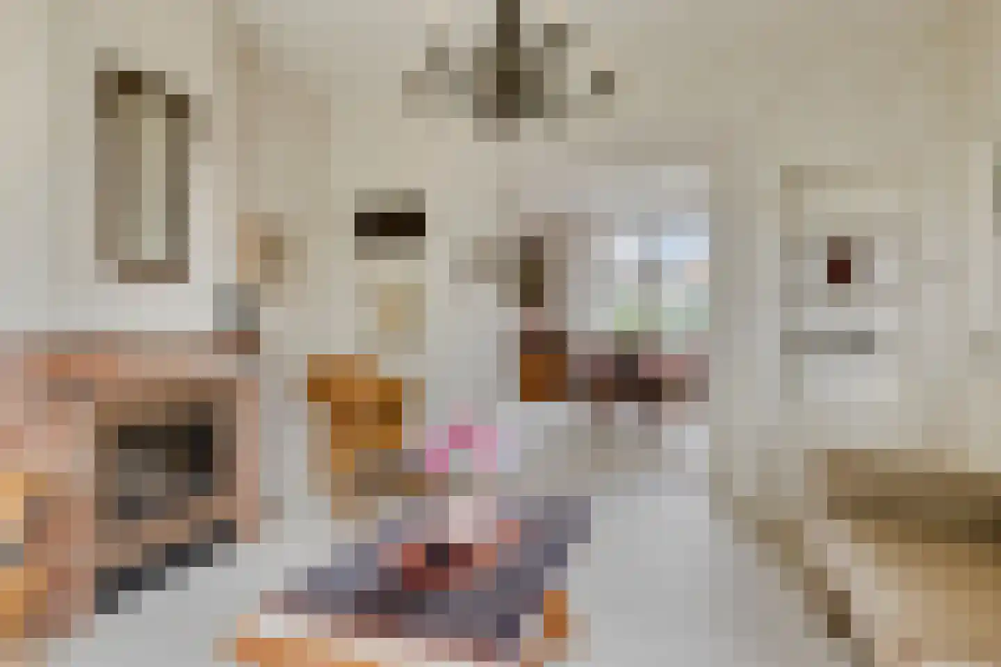 Bolwerk 9 Tholen thumbnail 5