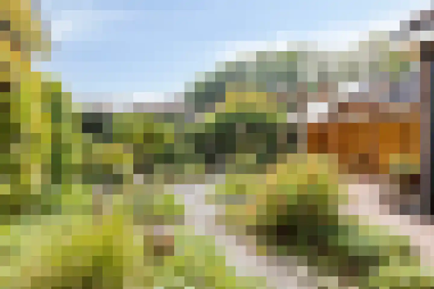 Bolwerk 9 Tholen thumbnail 51