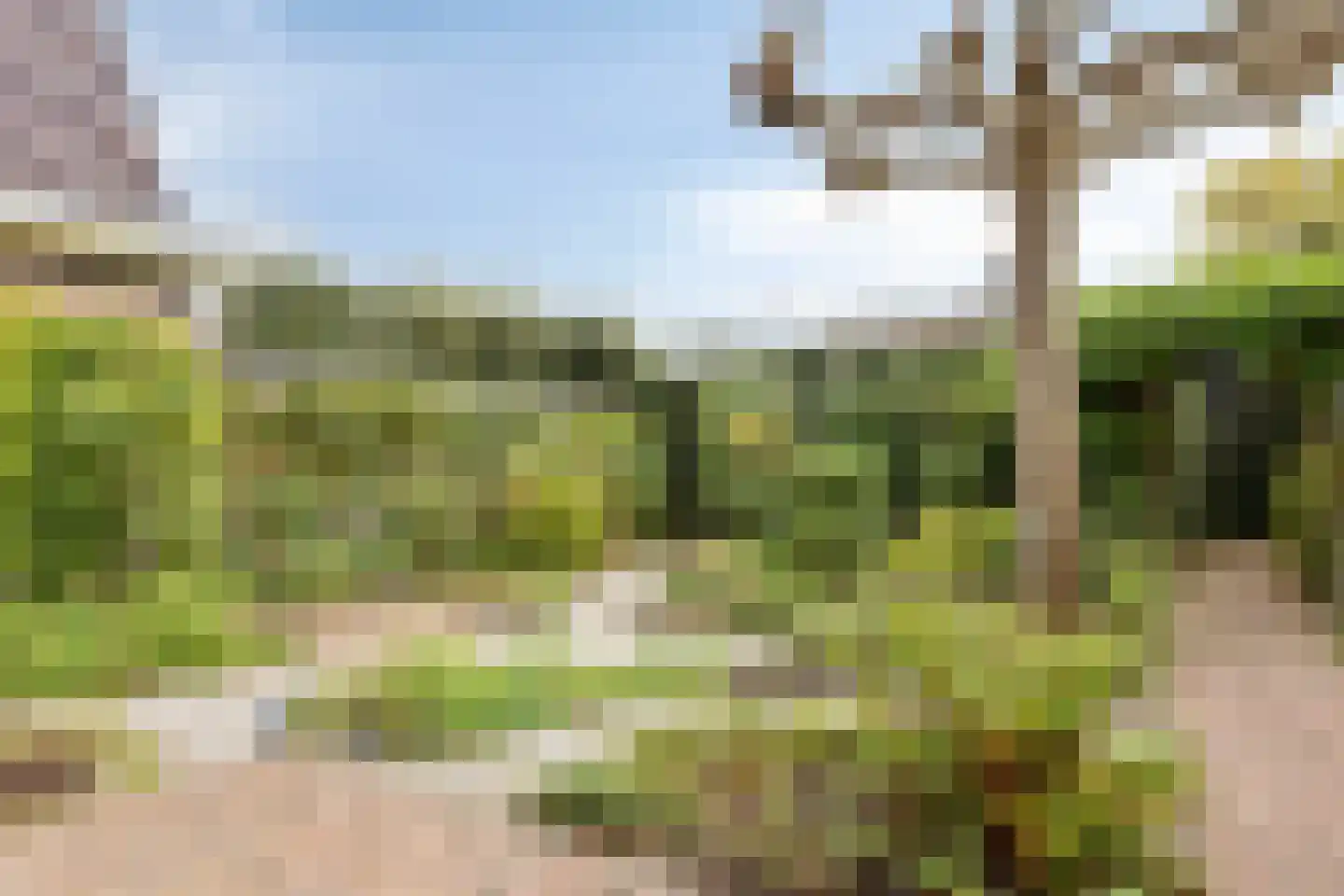 Bolwerk 9 Tholen thumbnail 53