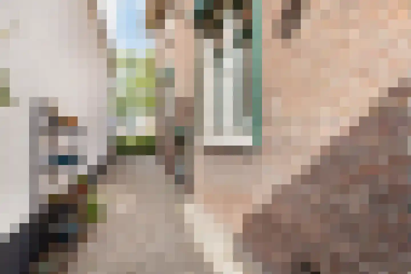 Bolwerk 9 Tholen thumbnail 56