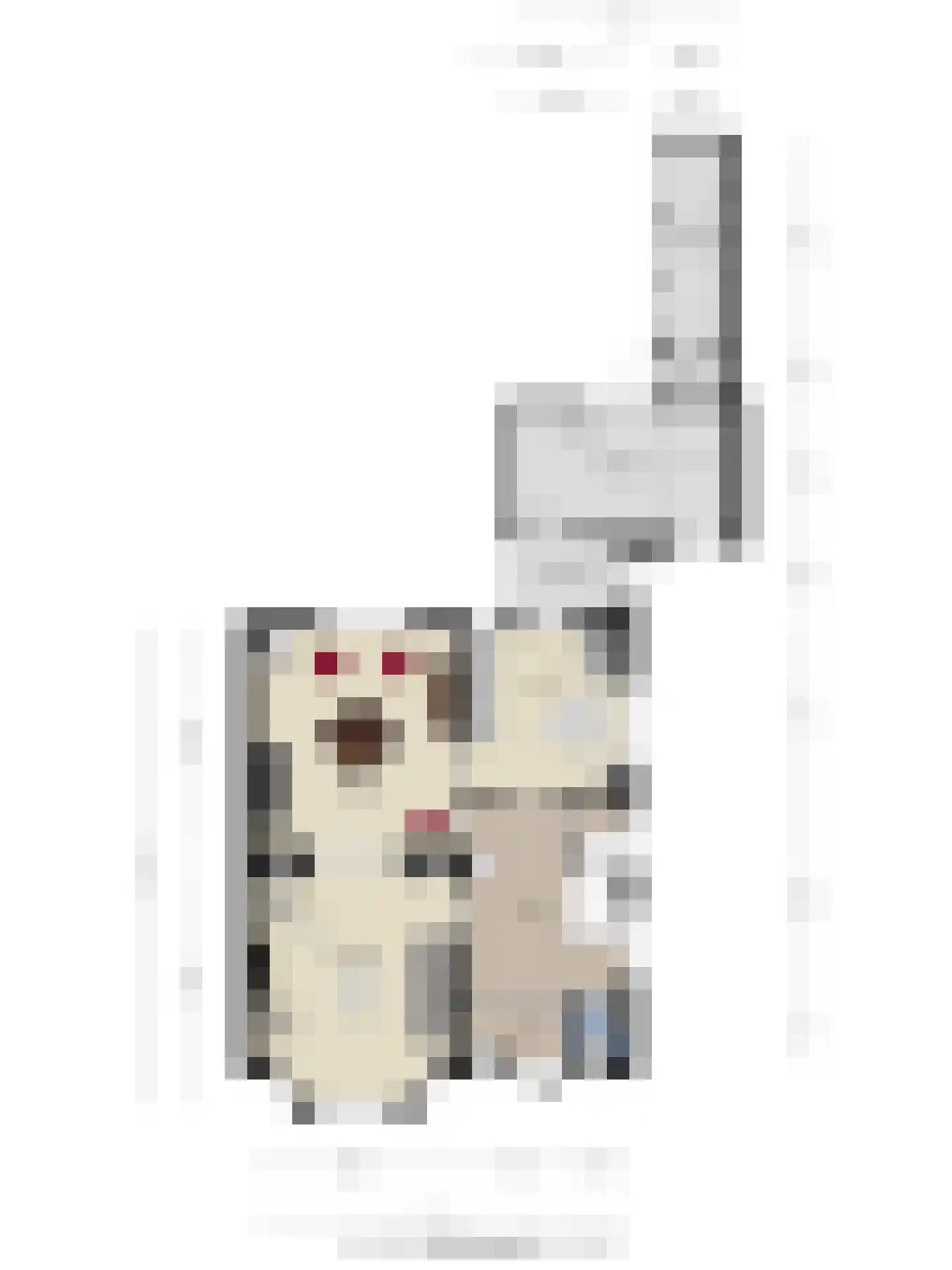Bolwerk 9 Tholen thumbnail 72