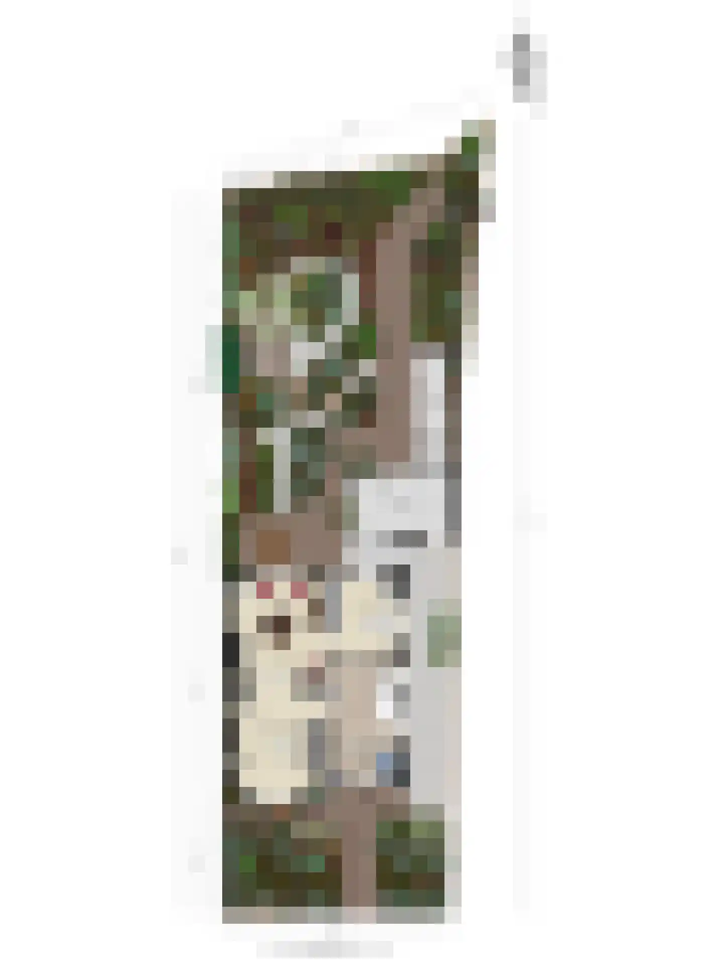 Bolwerk 9 Tholen thumbnail 75