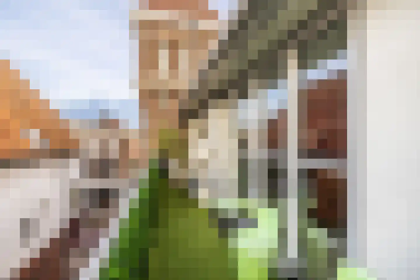 Bolwerkstraat 2 Leiden thumbnail 22