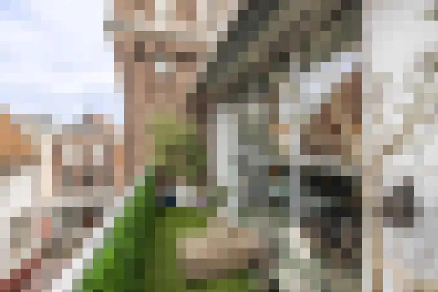 Bolwerkstraat 2 Leiden thumbnail 23