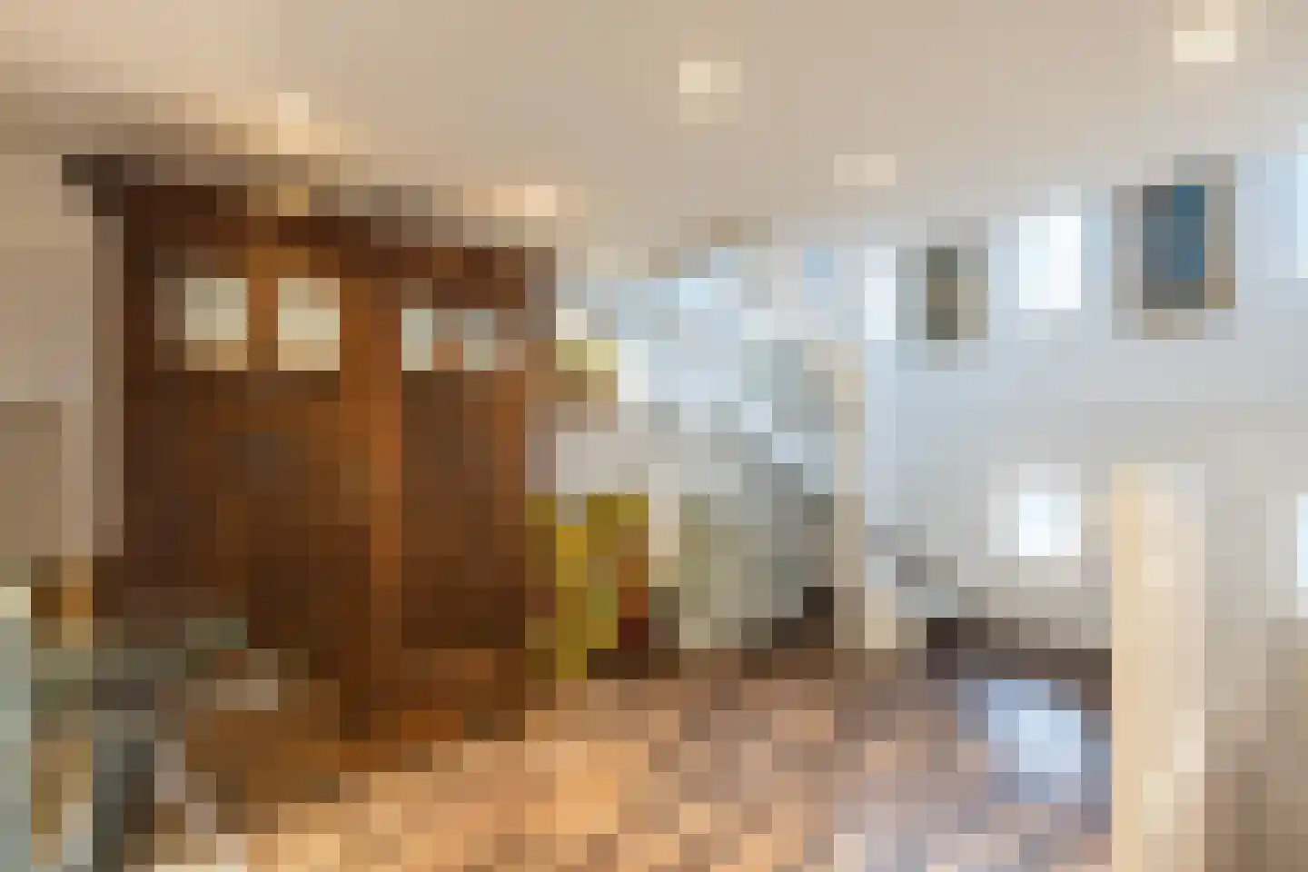 Bolwerkstraat 2 Leiden thumbnail 36