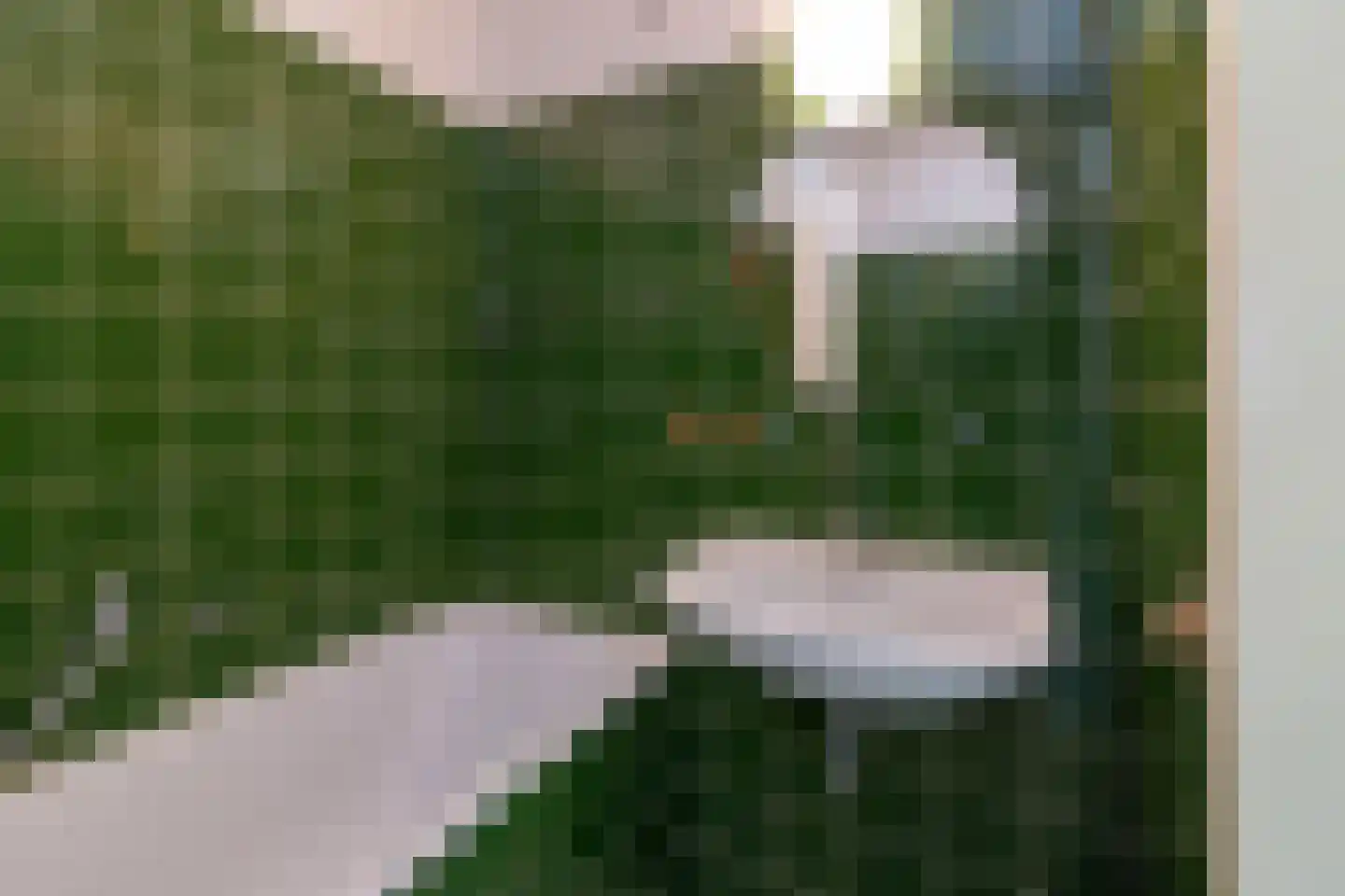 Bomanshof 105 Eindhoven thumbnail 18