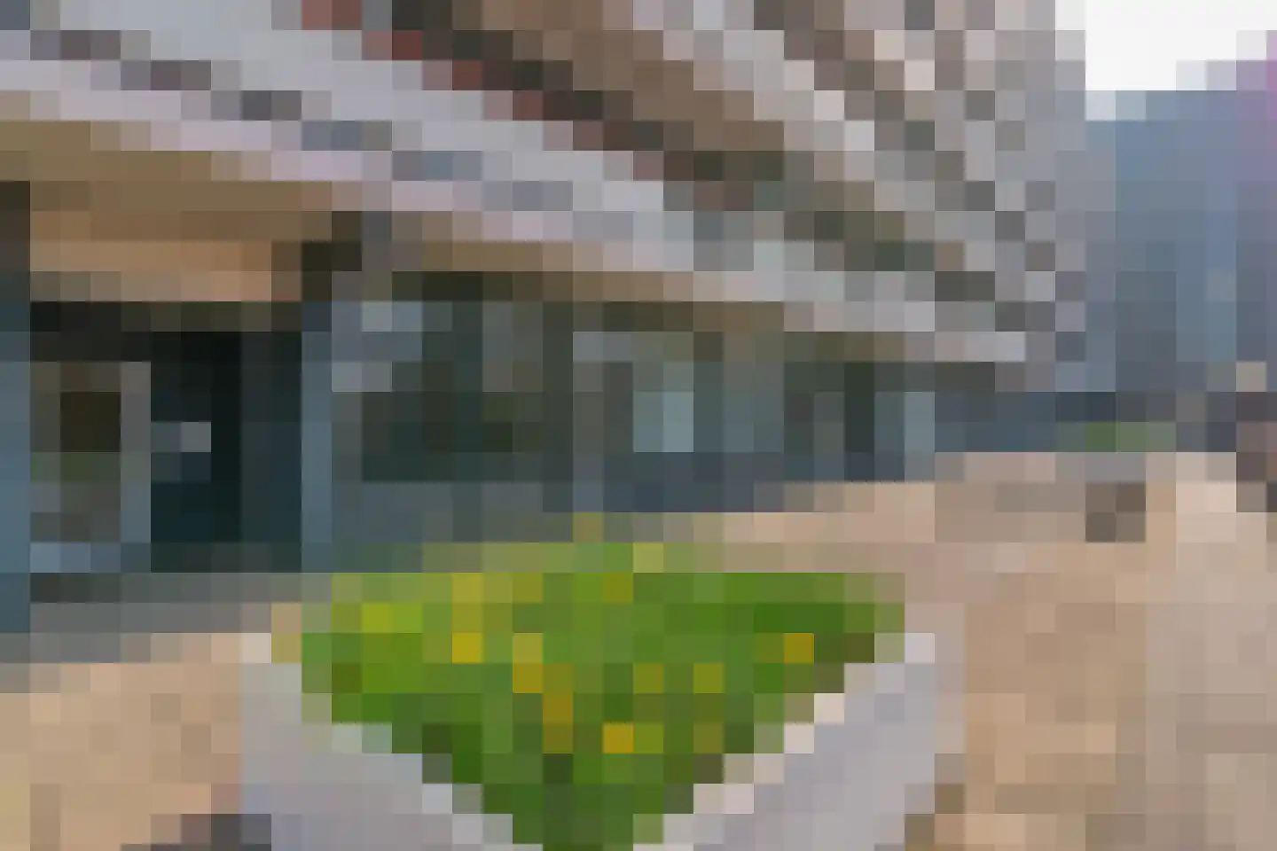 Bomanshof 105 Eindhoven thumbnail 23