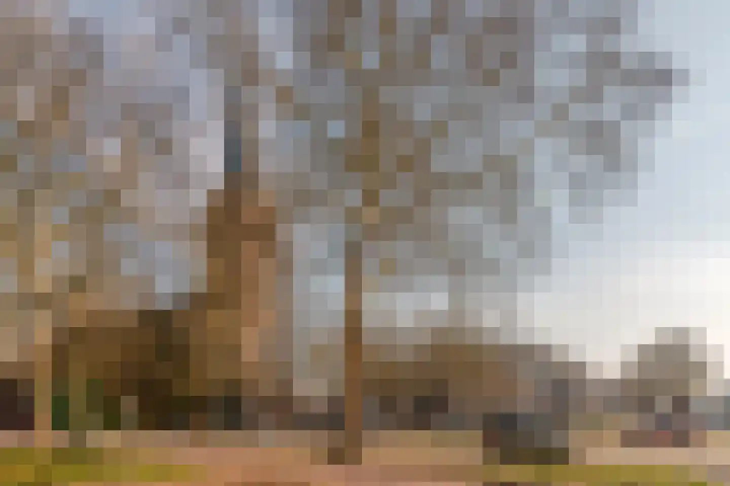 Bomanshof 105 Eindhoven thumbnail 27