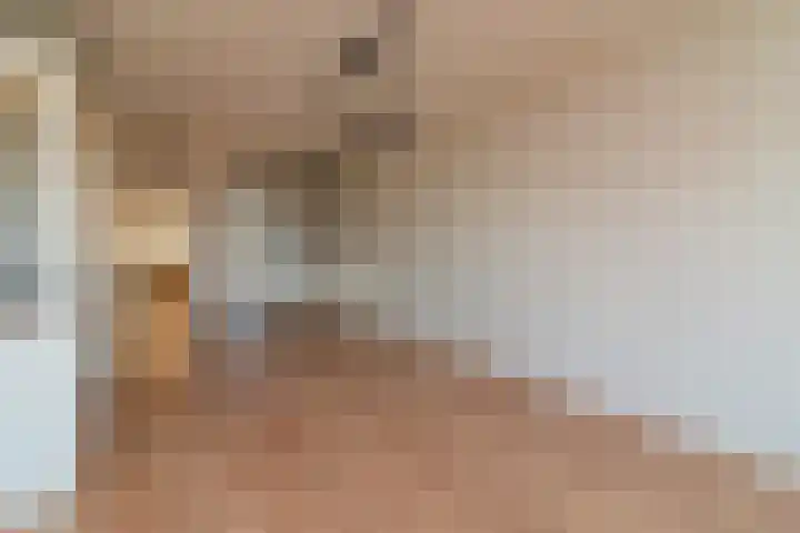 Bomanshof 11 Eindhoven thumbnail 10