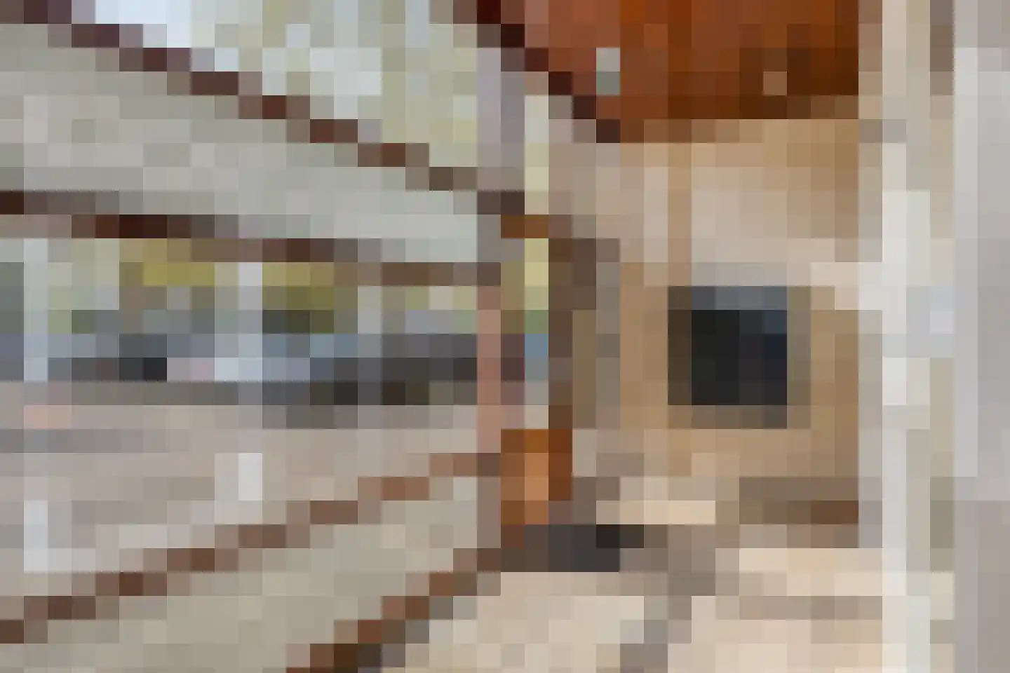 Bomanshof 127 Eindhoven thumbnail 10