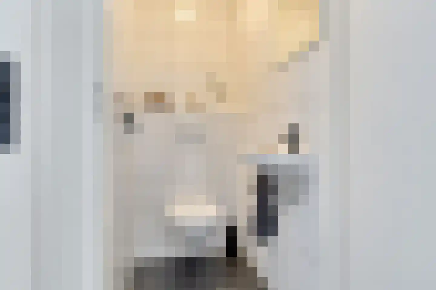 Bomanshof 127 Eindhoven thumbnail 17