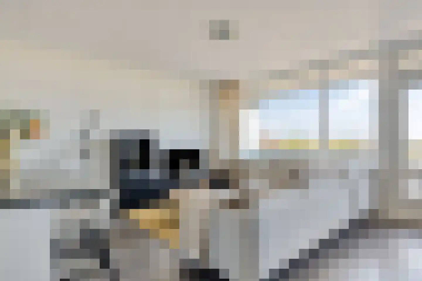 Bomanshof 127 Eindhoven thumbnail 19