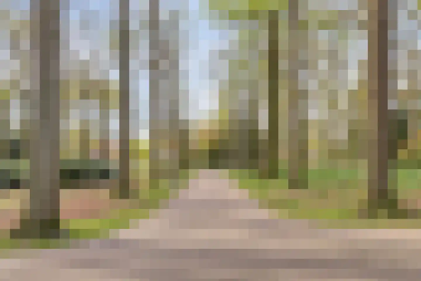 Bomanshof 127 Eindhoven thumbnail 48