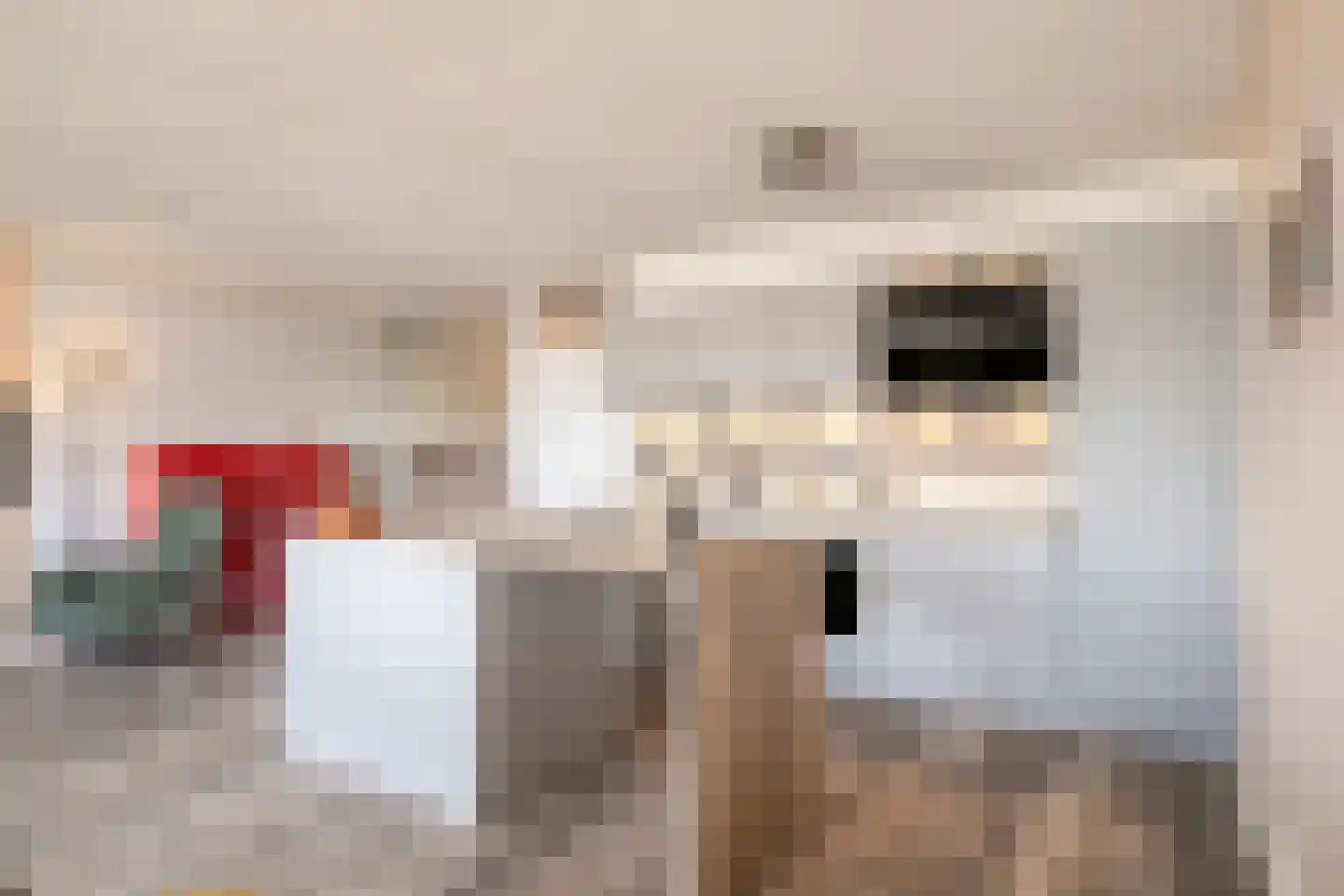 Bomanshof 133 Eindhoven thumbnail 15