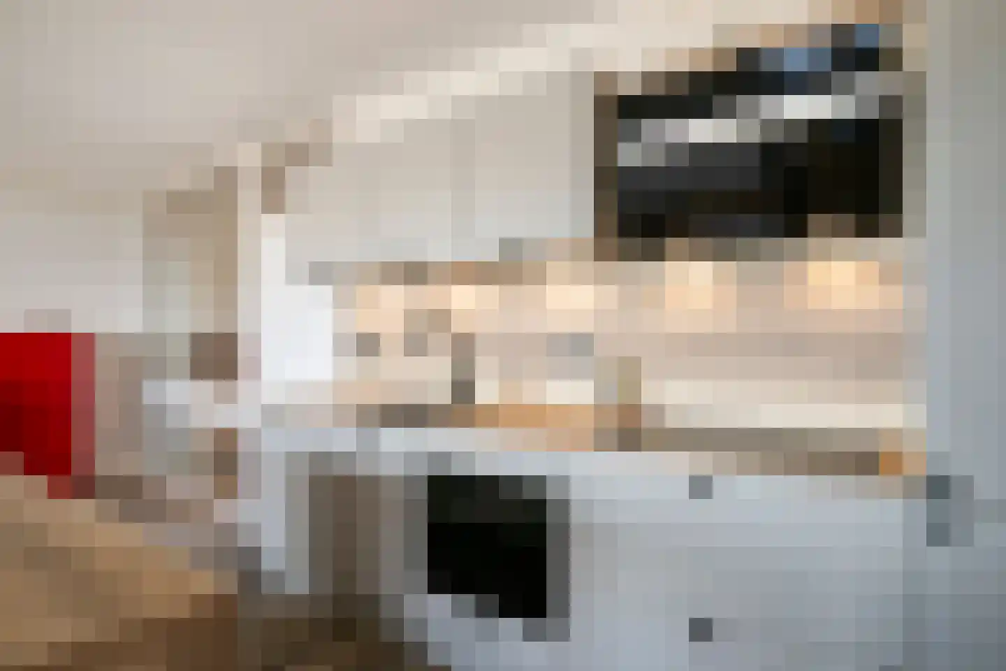 Bomanshof 133 Eindhoven thumbnail 16