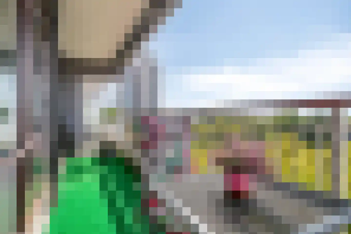 Bomanshof 133 Eindhoven thumbnail 29