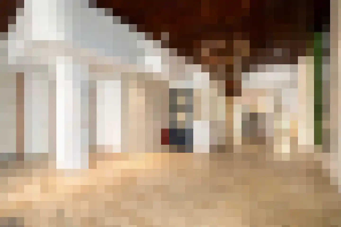 Bomanshof 133 Eindhoven thumbnail 33