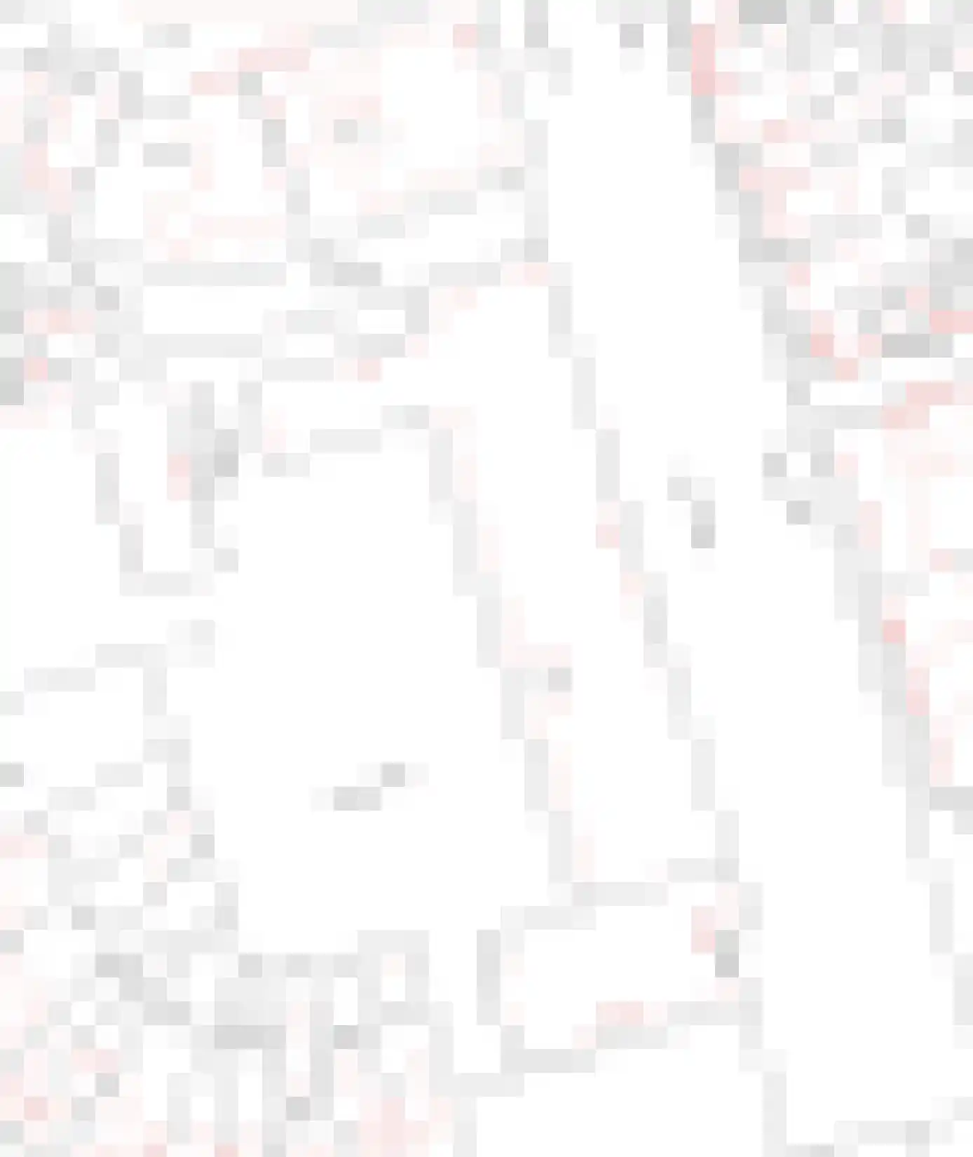 Bomanshof 133 Eindhoven thumbnail 42