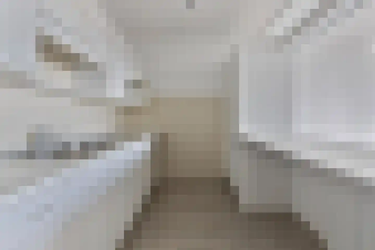 Bomanshof 157 Eindhoven thumbnail 13