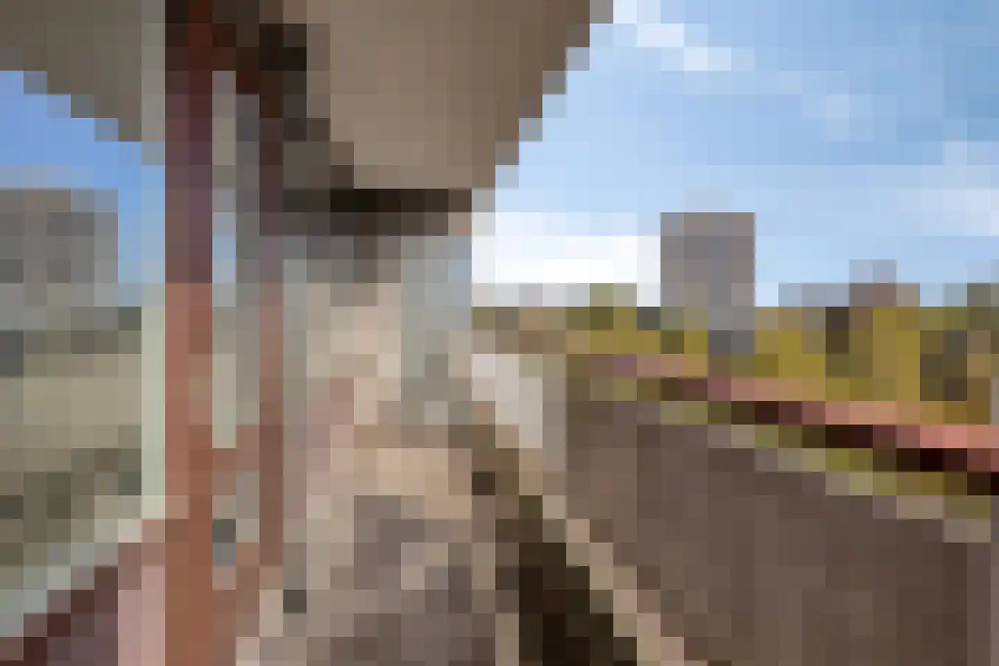 Bomanshof 157 Eindhoven thumbnail 16