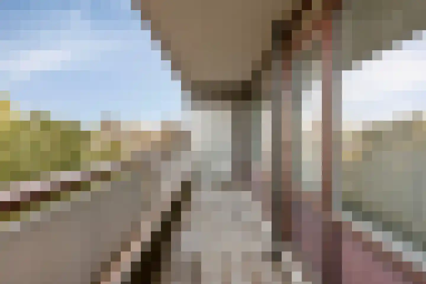 Bomanshof 157 Eindhoven thumbnail 19