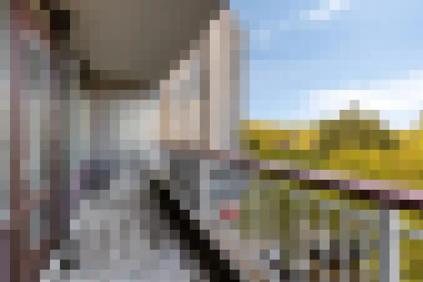 Bomanshof 157 Eindhoven thumbnail 20