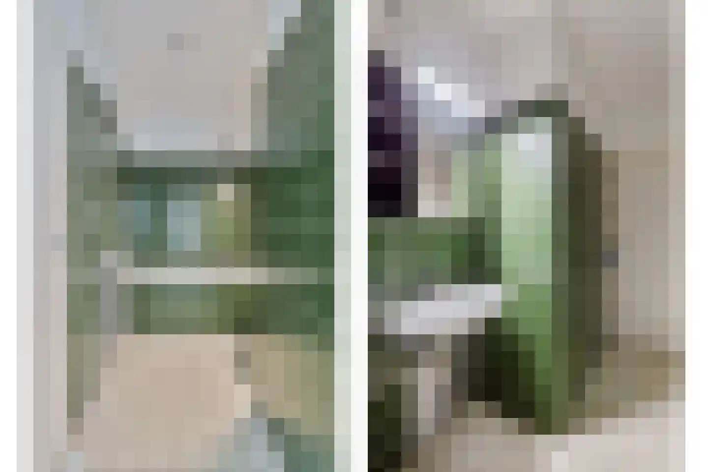 Bomanshof 157 Eindhoven thumbnail 22