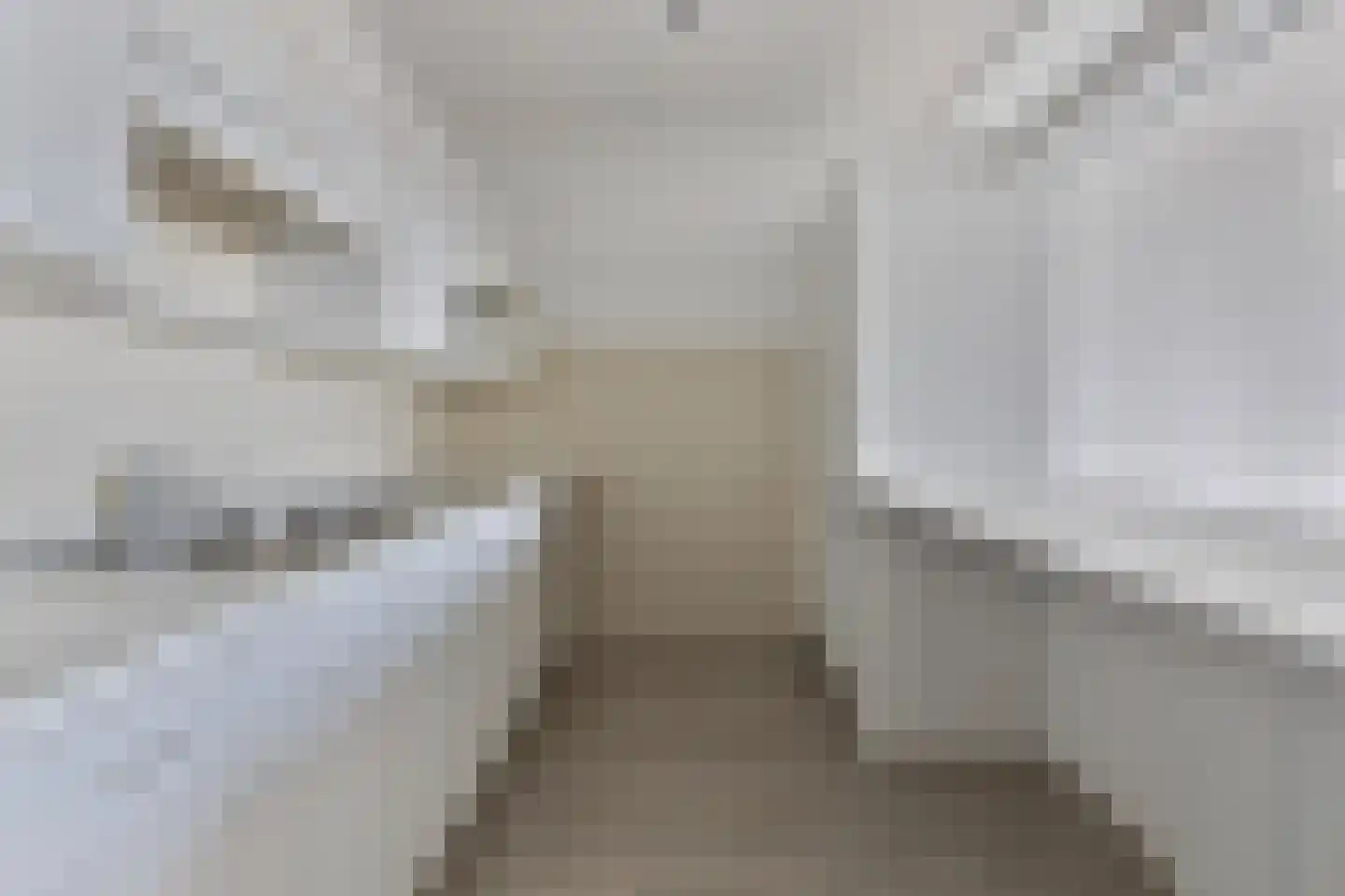 Bomanshof 157 Eindhoven thumbnail 4