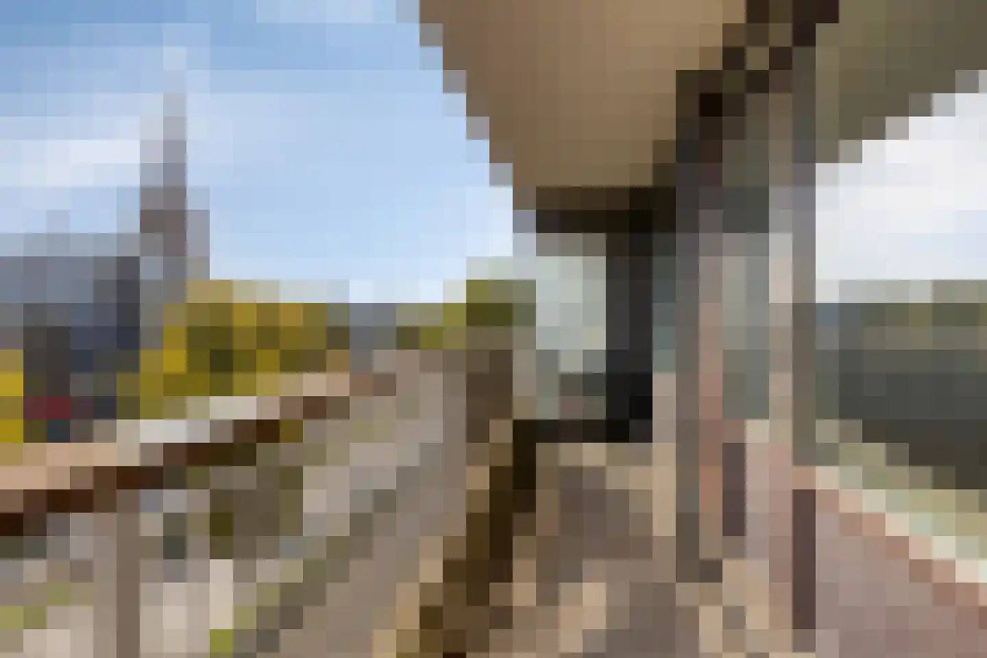 Bomanshof 157 Eindhoven thumbnail 6