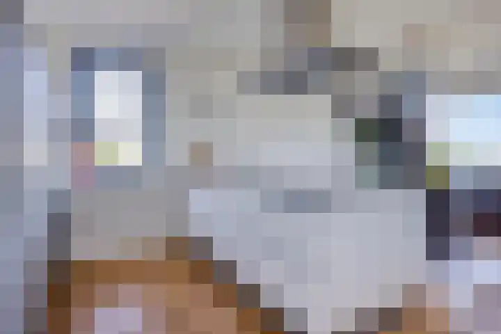 Bomanshof 19 Eindhoven thumbnail 12