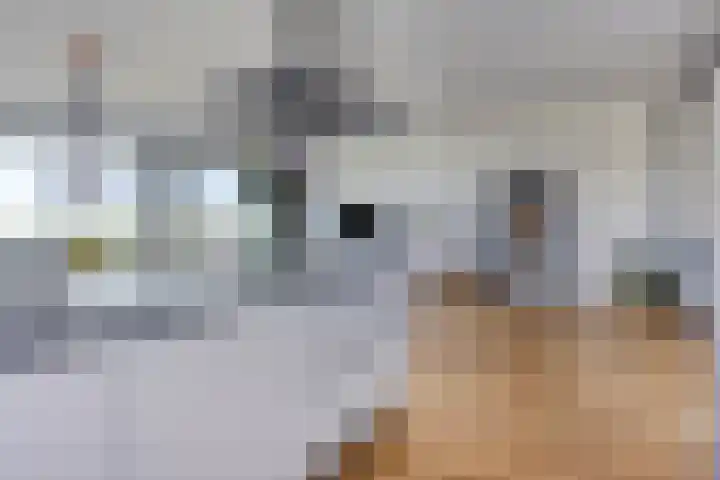 Bomanshof 19 Eindhoven thumbnail 14