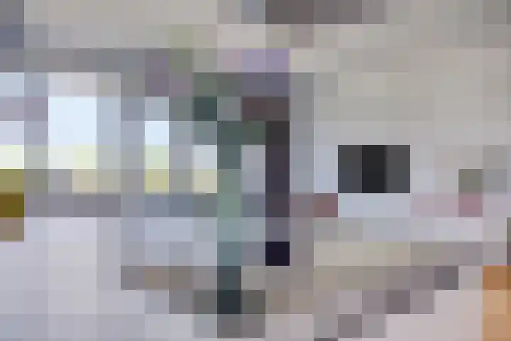 Bomanshof 19 Eindhoven thumbnail 15