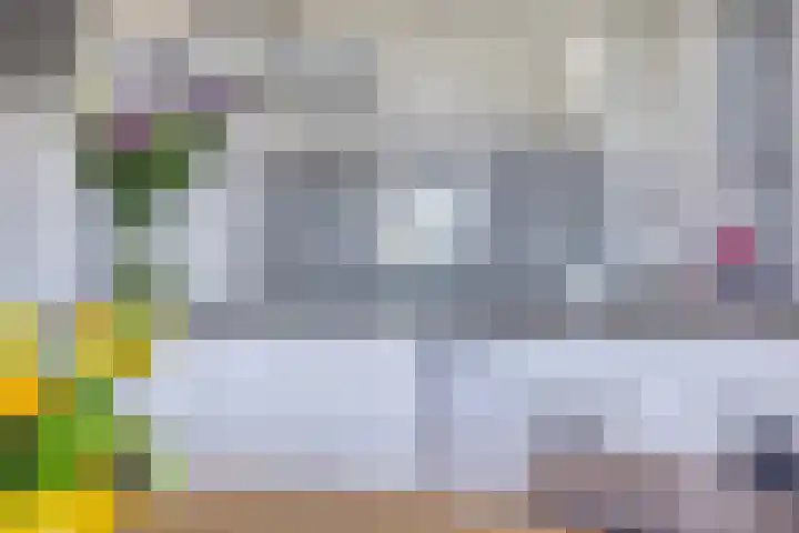 Bomanshof 19 Eindhoven thumbnail 18