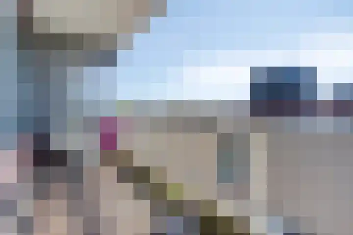 Bomanshof 19 Eindhoven thumbnail 29