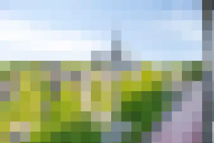 Bomanshof 19 Eindhoven thumbnail 33