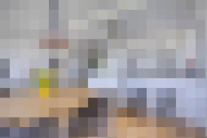 Bomanshof 19 Eindhoven thumbnail 36