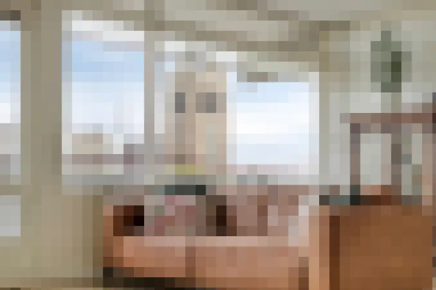 Bomanshof 203 Eindhoven thumbnail 12