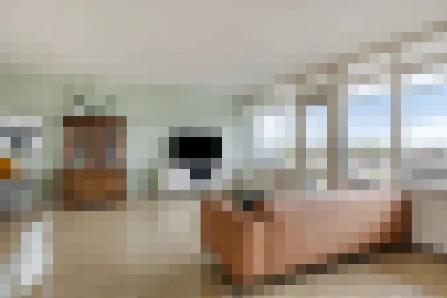 Bomanshof 203 Eindhoven thumbnail 13