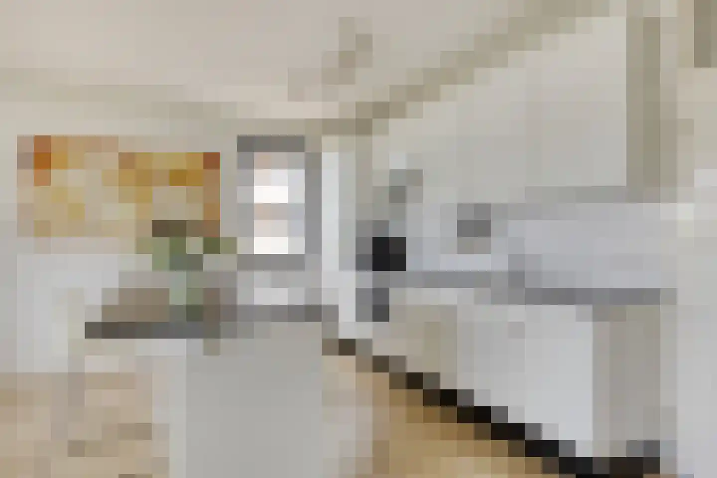 Bomanshof 203 Eindhoven thumbnail 17