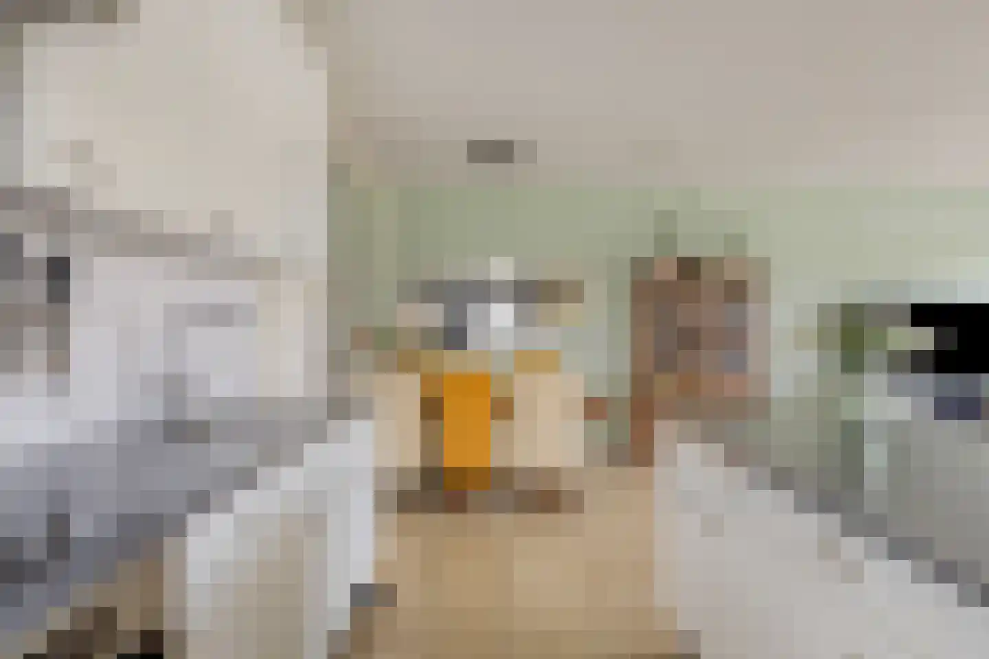 Bomanshof 203 Eindhoven thumbnail 19